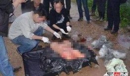 香港爆料碎尸案件最新,最新进展揭秘惊人真相