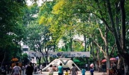 合肥公园爆料事件最新,惊人事件引发社会关注