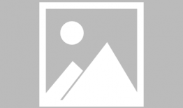 石家庄公交车最新爆料,最新线路调整与爆料揭秘